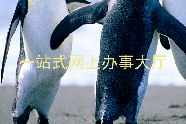 一站式网上办事大厅