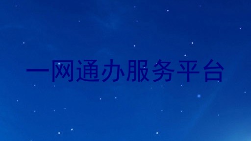 一网通办服务平台