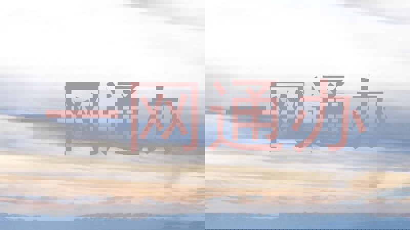 一网通办