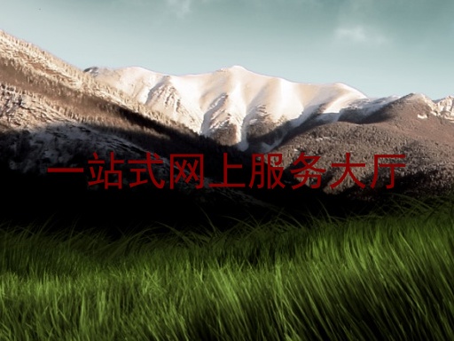 一站式网上服务大厅