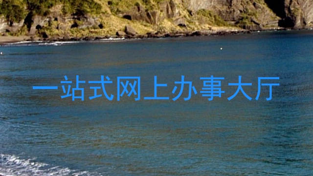 一站式网上办事大厅