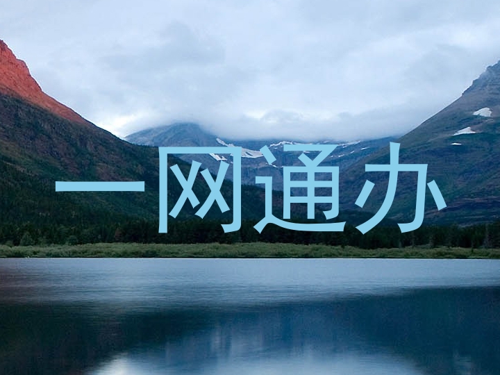 一网通办