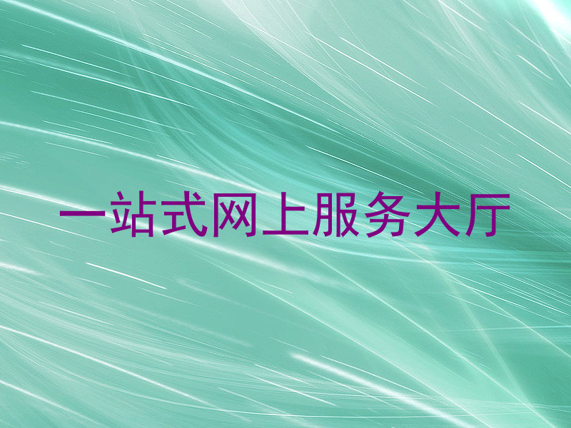 一站式网上服务大厅