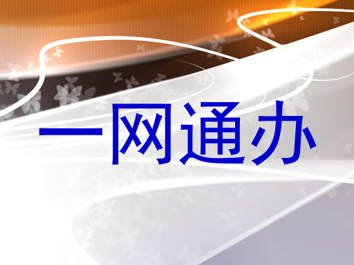 一网通办