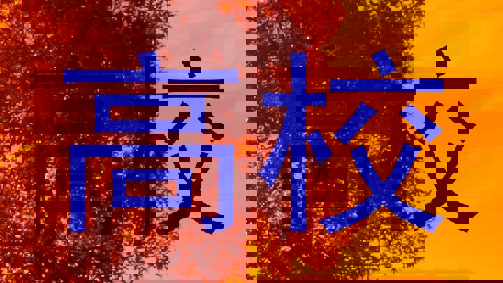 高校