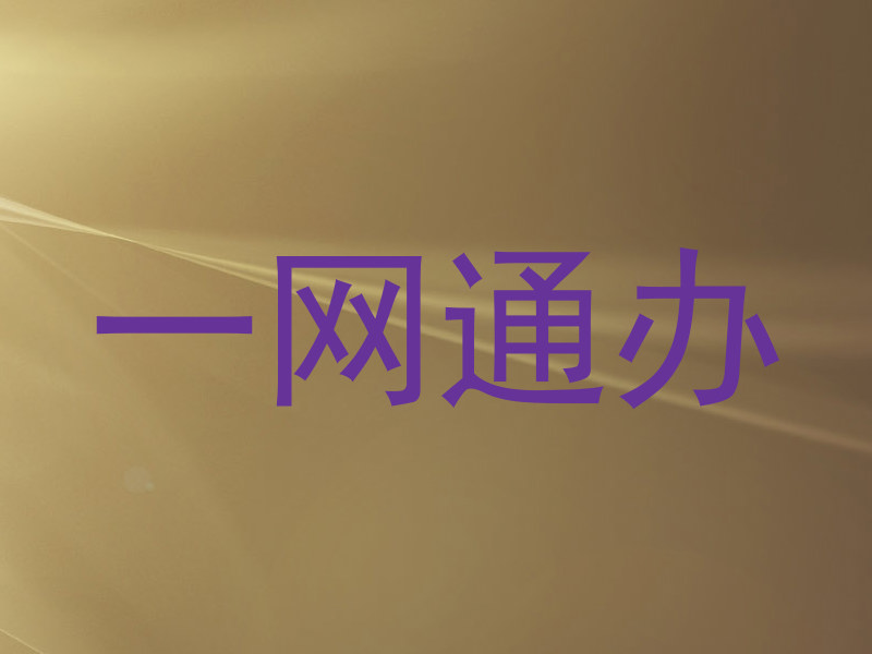 一网通办