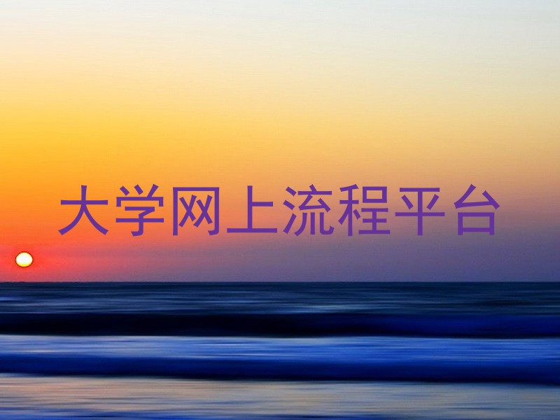 大学网上流程平台