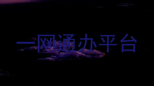 一网通办平台