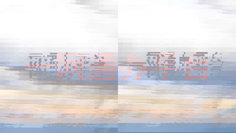 一网通办平台