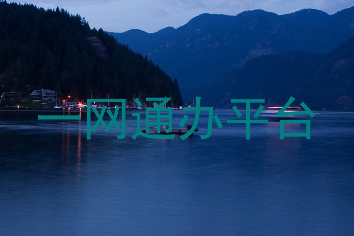 一网通办平台