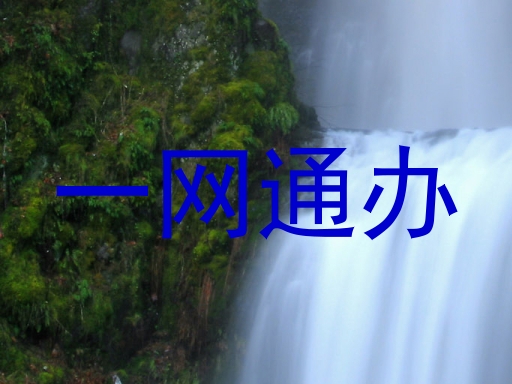 一网通办