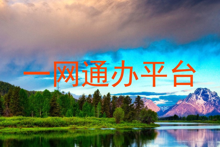 一网通办平台