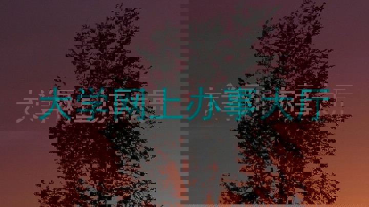 大学网上办事大厅