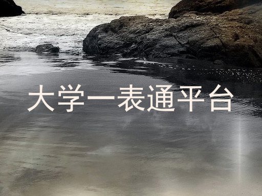 大学一表通平台