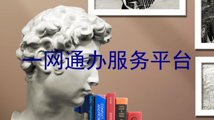 一网通办服务平台