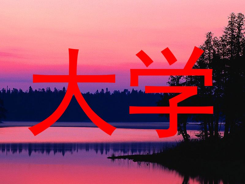 大学