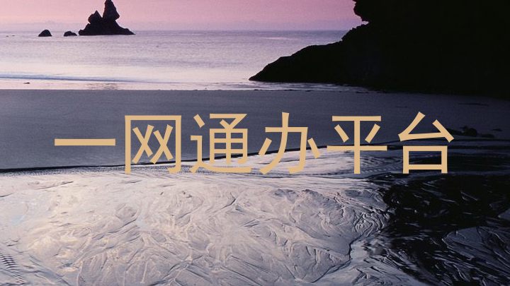 一网通办平台