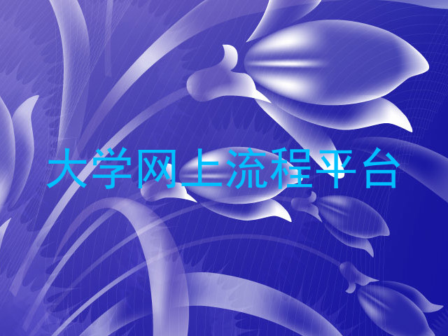 大学网上流程平台