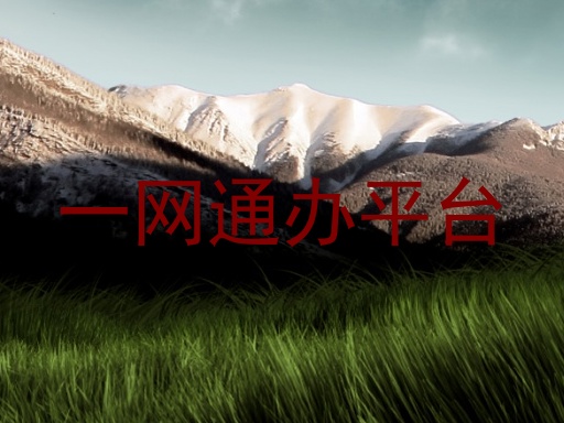 一网通办平台
