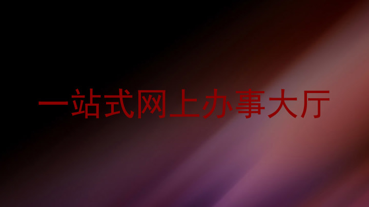 一站式网上办事大厅