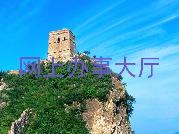 网上办事大厅