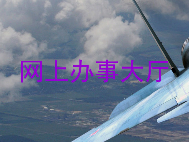 网上办事大厅