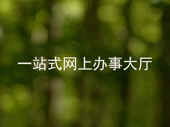一站式网上办事大厅