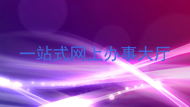 一站式网上办事大厅