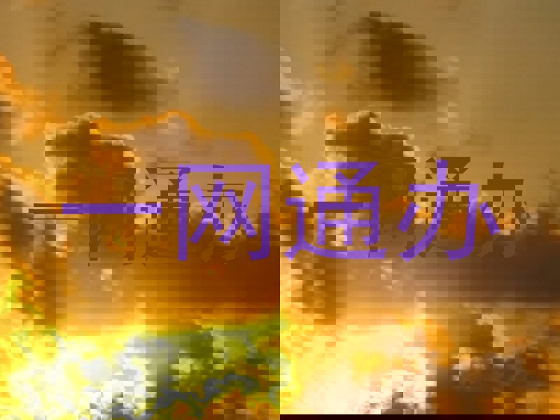 一网通办