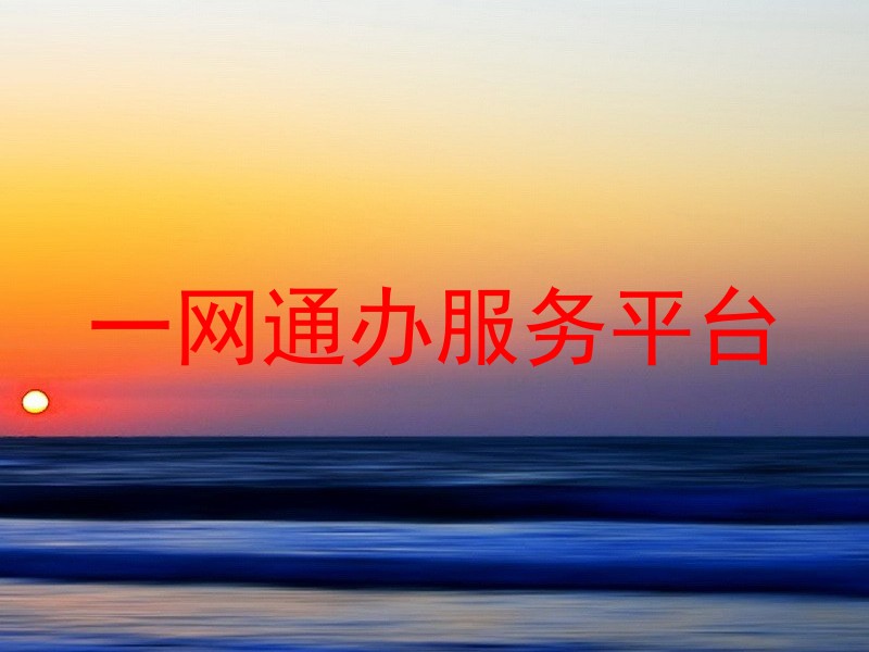 一网通办服务平台