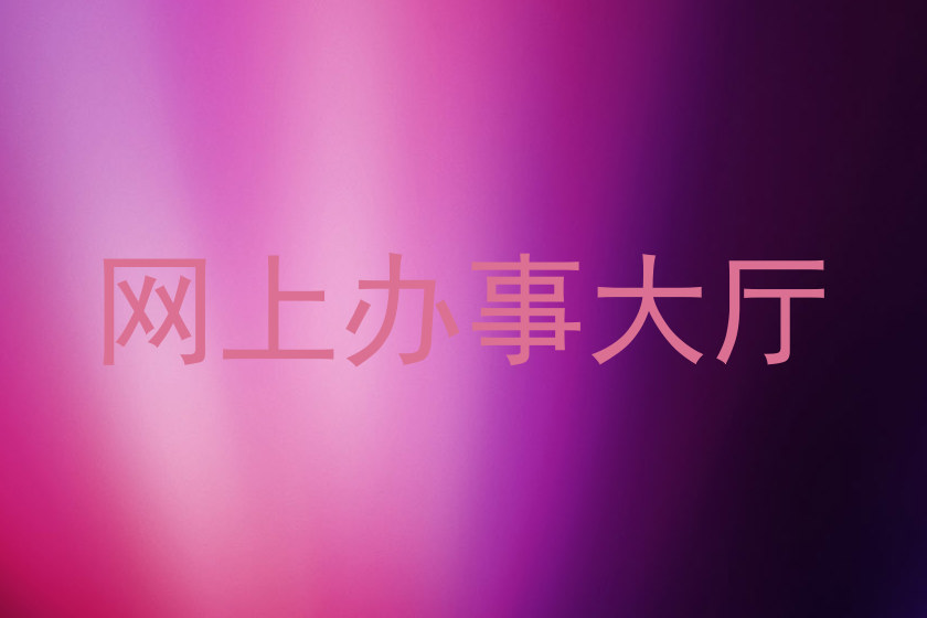 网上办事大厅
