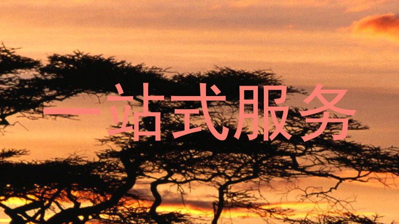 一站式服务