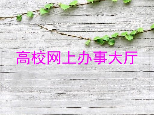 高校网上办事大厅
