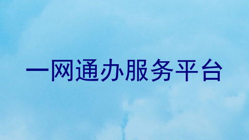 一网通办服务平台