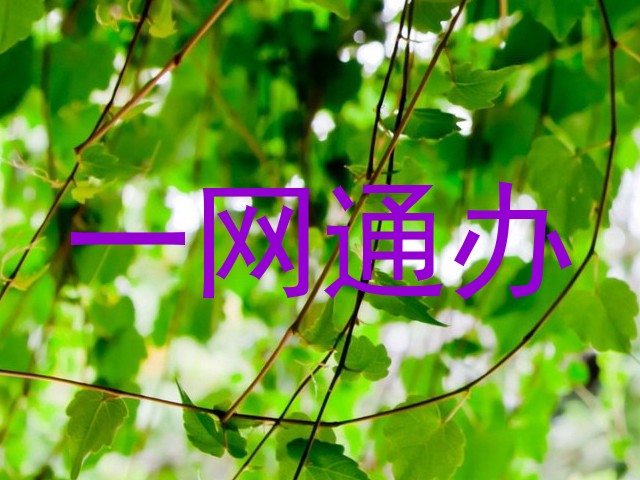 一网通办