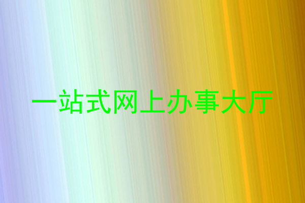 一站式网上办事大厅