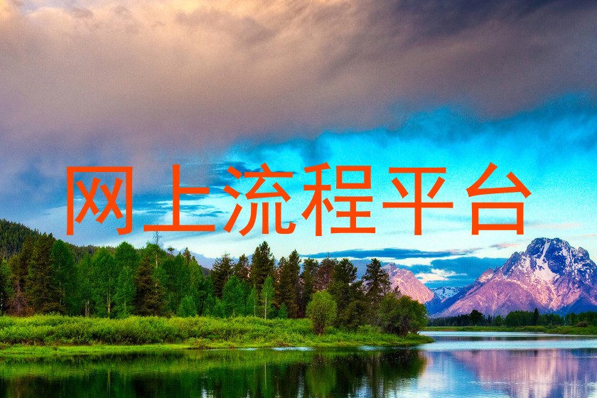 网上流程平台