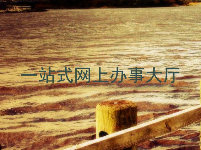一站式网上办事大厅