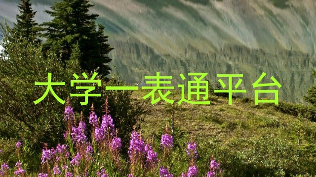 大学一表通平台