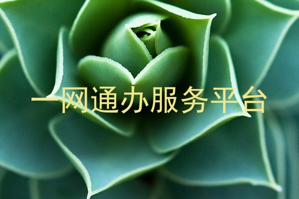 一网通办服务平台