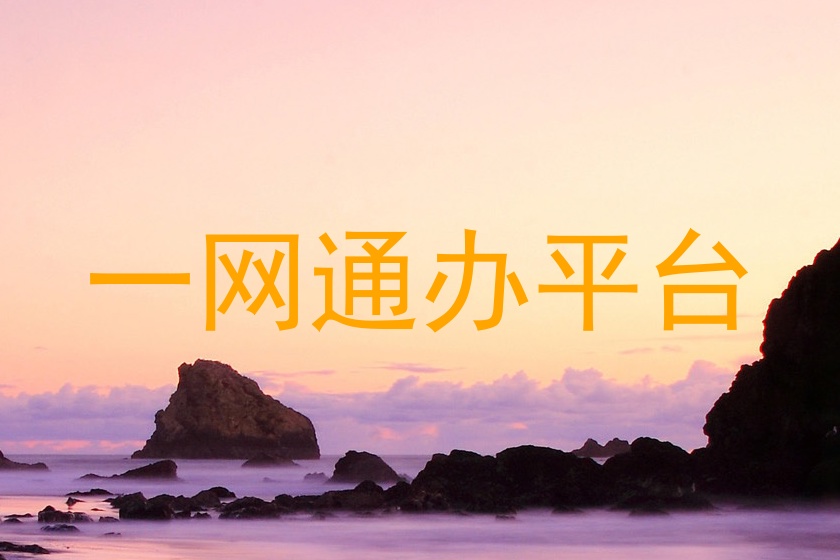 一网通办平台