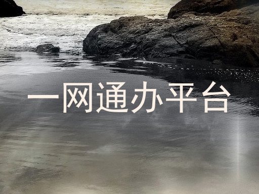 一网通办平台