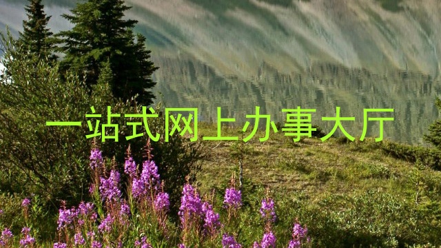 一站式网上办事大厅