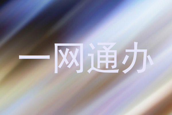 一网通办