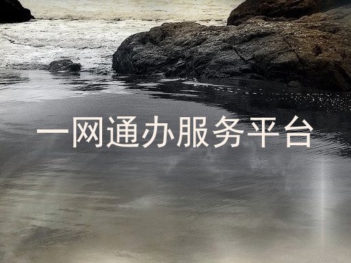 一网通办服务平台