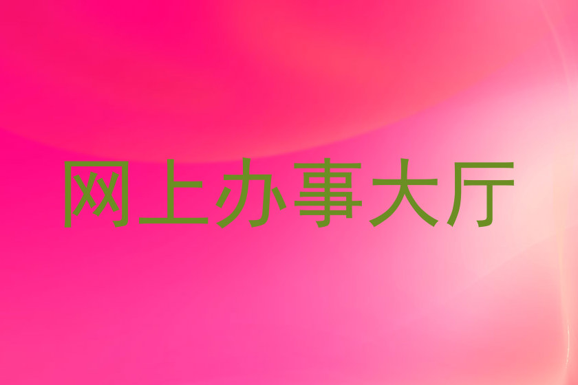 网上办事大厅