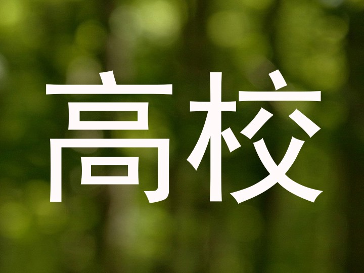 高校