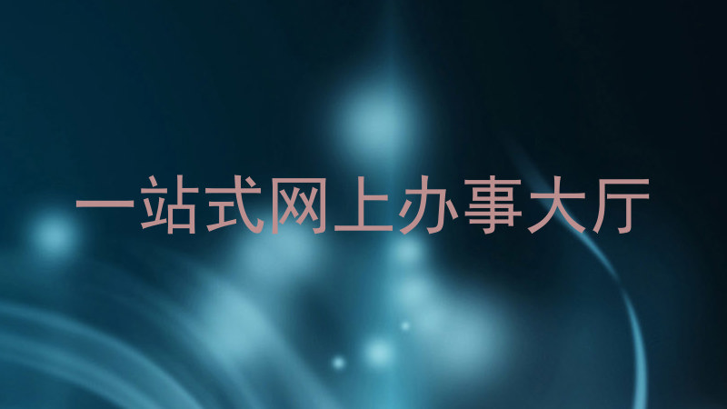 一站式网上办事大厅
