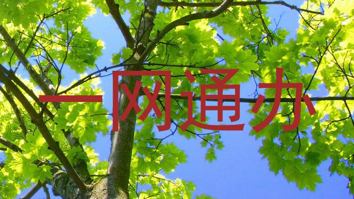 一网通办