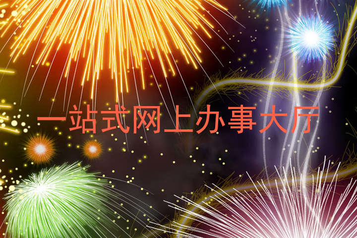 一站式网上办事大厅